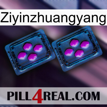 Ziyinzhuangyang 03